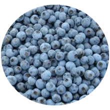 Iqf frozen fruit frozen blueberry